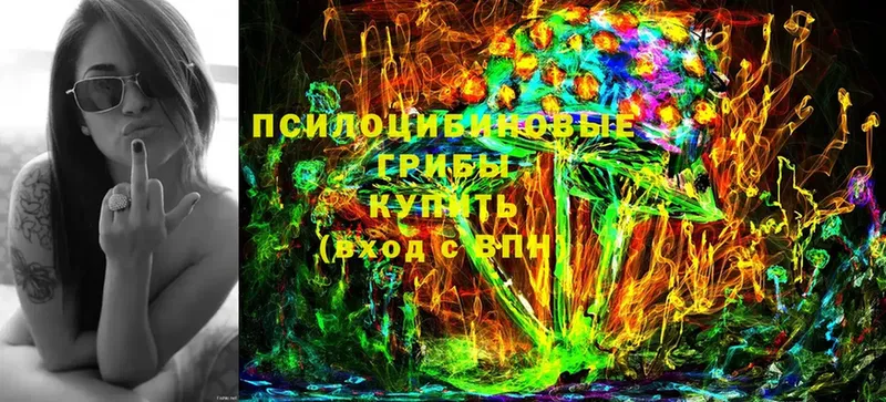 Галлюциногенные грибы Cubensis Бакал